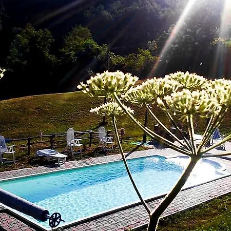 Il Bosco Delle Fate