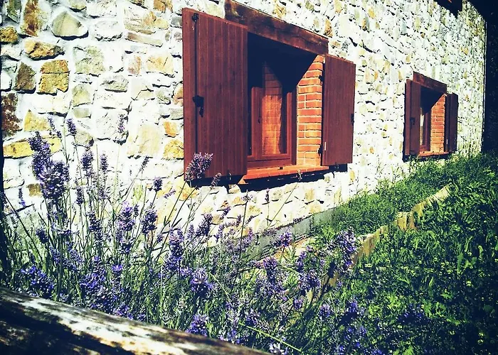 Il Bosco Delle Fate
