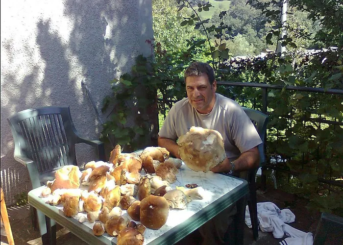 Il Bosco Delle Fate Corniglio