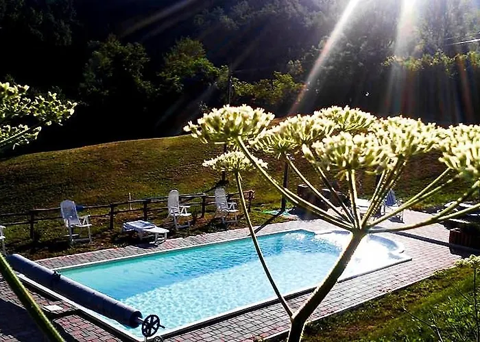 Il Bosco Delle Fate