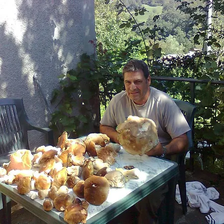 Il Bosco Delle Fate Corniglio